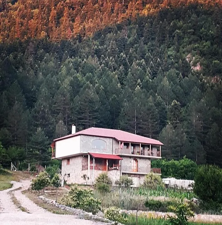 Bujtina Vila Dodo Leskovik 0*,