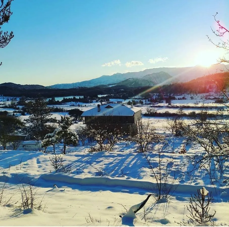Vendégház Bujtina Vila Dodo Leskovik